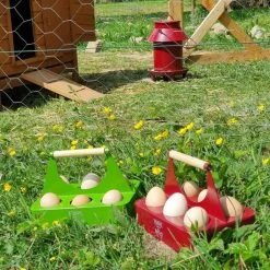 Porte Oeuf Metal Grenat - Zolux 9 Porte Oeuf Metal Grenat - Zolux -Poulailler Série Magasin recolte generuse poulettes la ferme ethique