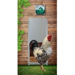 Portier électronique Poulailler Option Capteur De Luminosité à Piles VSDB - AXT Electronic 7 Portier électronique Poulailler Option Capteur De Luminosité à Piles VSDB - AXT Electronic -Poulailler Série Magasin vsdb portier automatique a piles avec capteur de luminosite axt installe