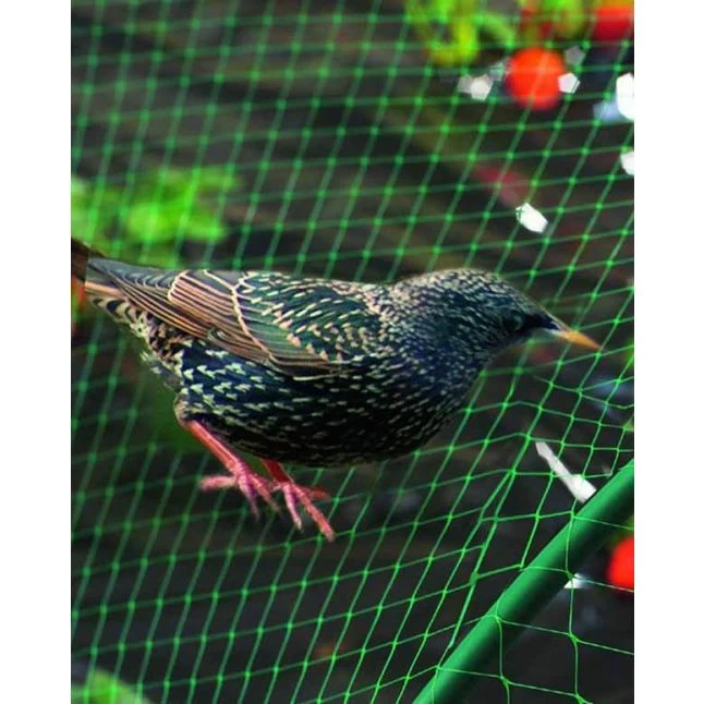 Filet De Protection Oiseaux Pour Poulailler Vert Birdnet 5x10m - Nortene 5 Filet De Protection Oiseaux Pour Poulailler Vert Birdnet 5x10m - Nortene – Image 3